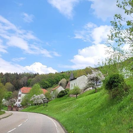 Family House Lejlighed Eberbach  Eksteriør billede