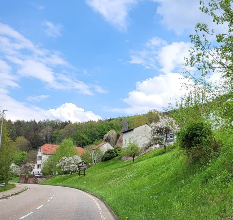 Family House Lejlighed Eberbach  Eksteriør billede