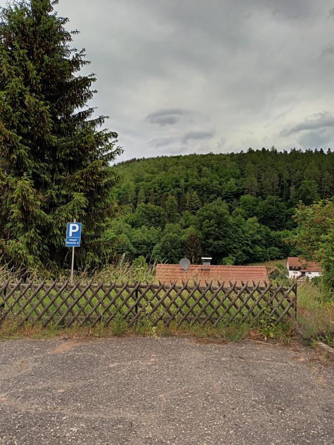 Family House Lejlighed Eberbach  Eksteriør billede